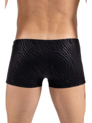 Boxer noir  gold Zebra - LM2403-67BLK