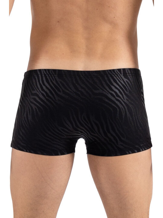Boxer noir  gold Zebra - LM2403-67BLK