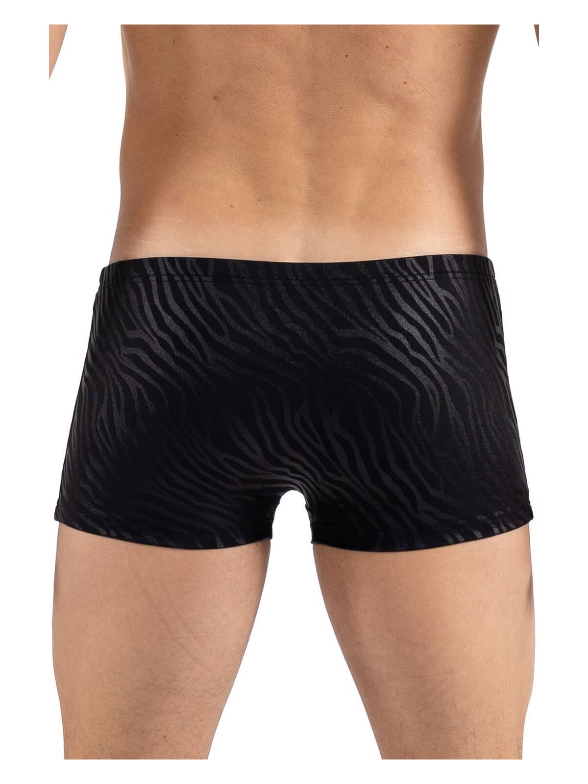 Boxer noir  gold Zebra - LM2403-67BLK