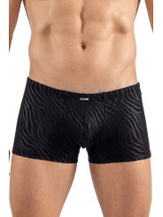 Boxer noir  gold Zebra - LM2403-67BLK