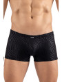Boxer noir  gold Zebra - LM2403-67BLK