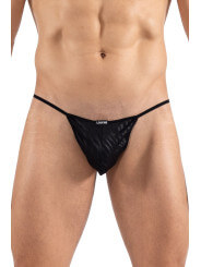 String noir  gold Zebra - LM2403-57BLK