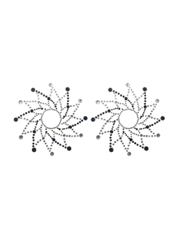 Paire de cache tétons adhésifs strass noir et blanc - NP-1020BLK