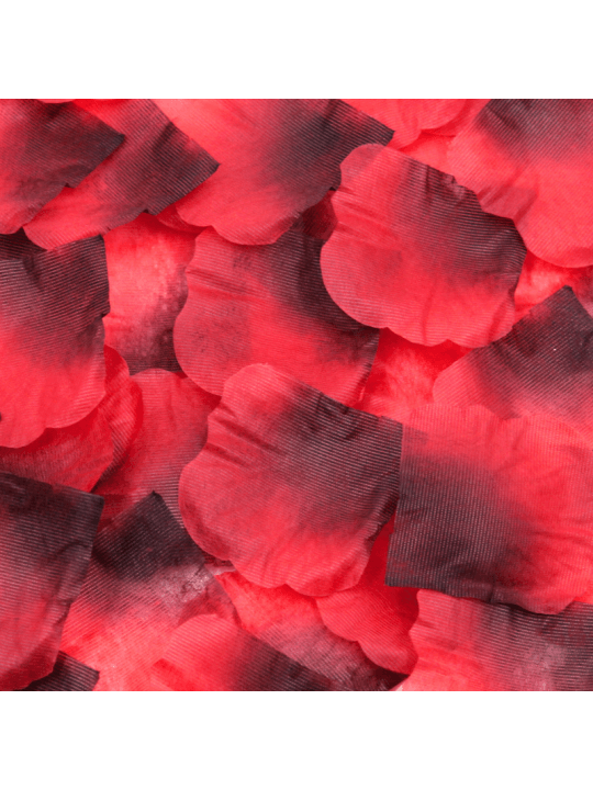 Pack de 100 Pétales de Rose - 100610RED