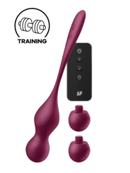 Boules de geisha vibrantes Satisfyer Love Birds Vary - CC597876