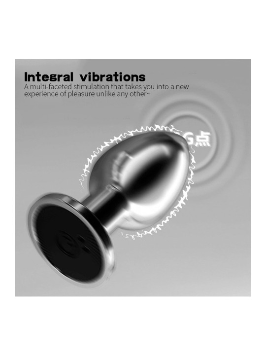 Plug vibrant acier inoxydable anal taille S avec télécommande, USB - RY-207-S