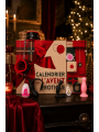 Calendrier de l’Avent érotique 24 surprises pour couple gay - 2026