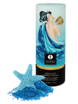 Sel de la mer morte aromatisé et moussant Océan de Tentations  500 gr Shunga - CC7515